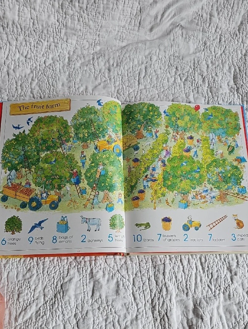 Farm Animal Books I Spy Farm And Animals, Animal Sounds
